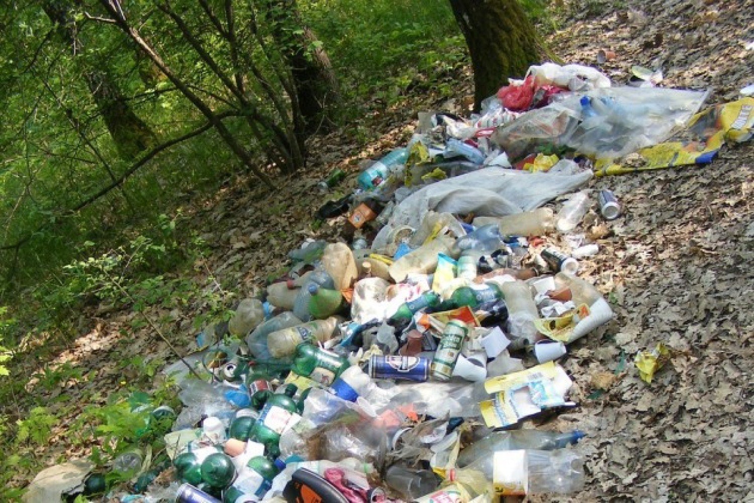 Śmieci w środku lasu